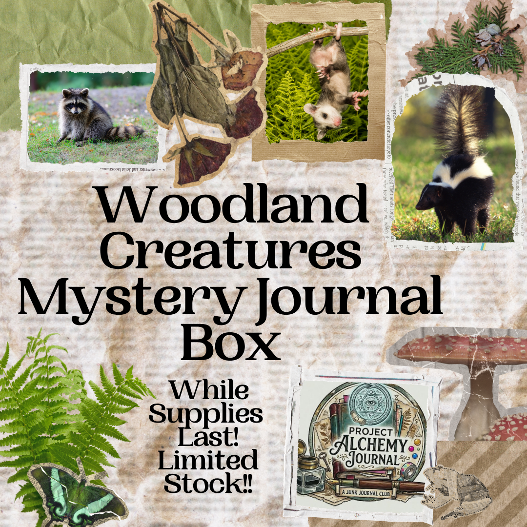 Woodland Creatures Mystery Journal Box (EXCLUSIVE)
